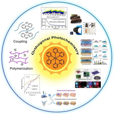 喜报！我院于游教授荣获陕西省杰出青年科学基金项目资助