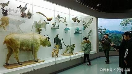 最强参观攻略 带萌娃探索北京自然博物馆前，先了解这些自然科学知识