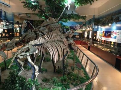 广州市自然资源科普基地 探索地球奥秘的科技新窗口